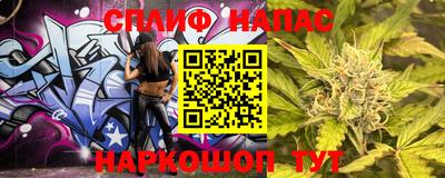 гашик Гатчина
