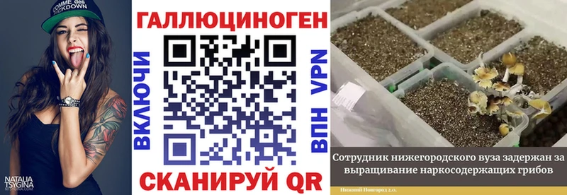 Галлюциногенные грибы Cubensis  хочу   Еманжелинск 