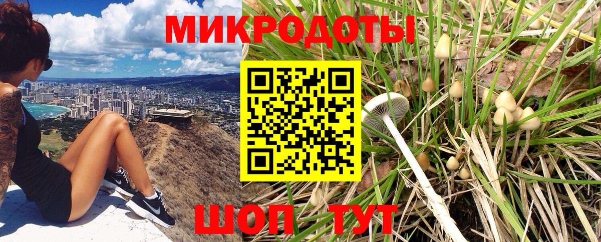купить закладку  Псилоцибиновые грибы мицелий  Вход с VPN  Еманжелинск  Галлюциногенные грибы Psilocybine cubensis 